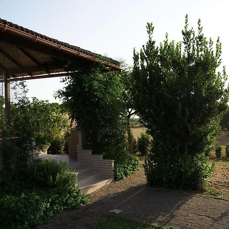 Accogliente Villa Con Piscina Caltagirone Exteriér fotografie