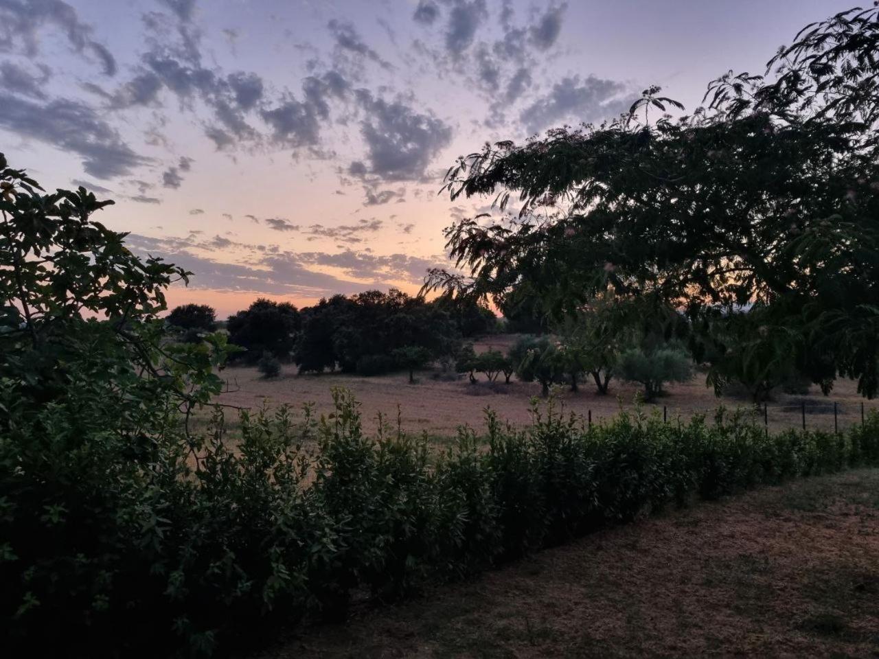 Accogliente Villa Con Piscina Caltagirone Exteriér fotografie