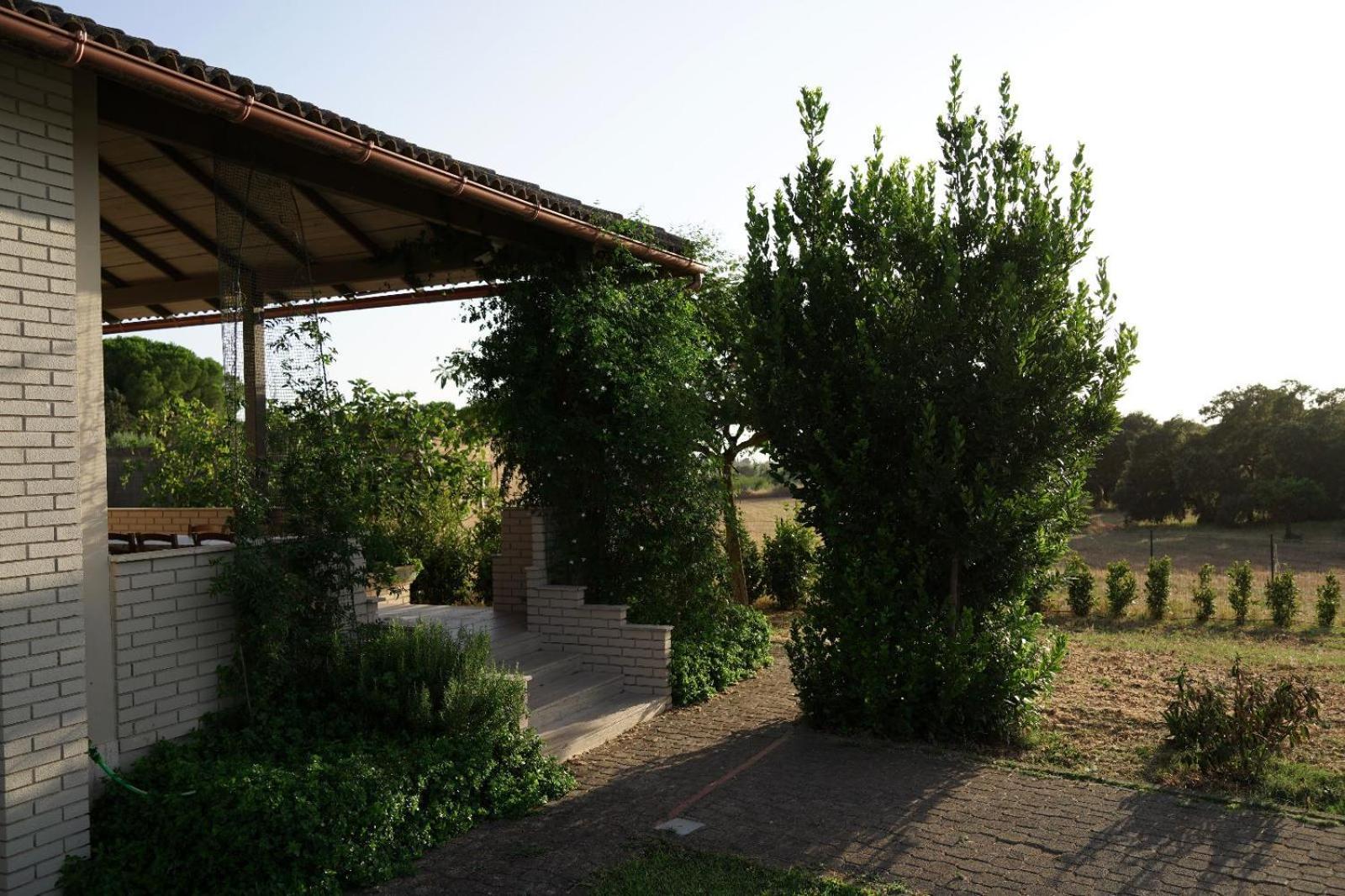 Accogliente Villa Con Piscina Caltagirone Exteriér fotografie