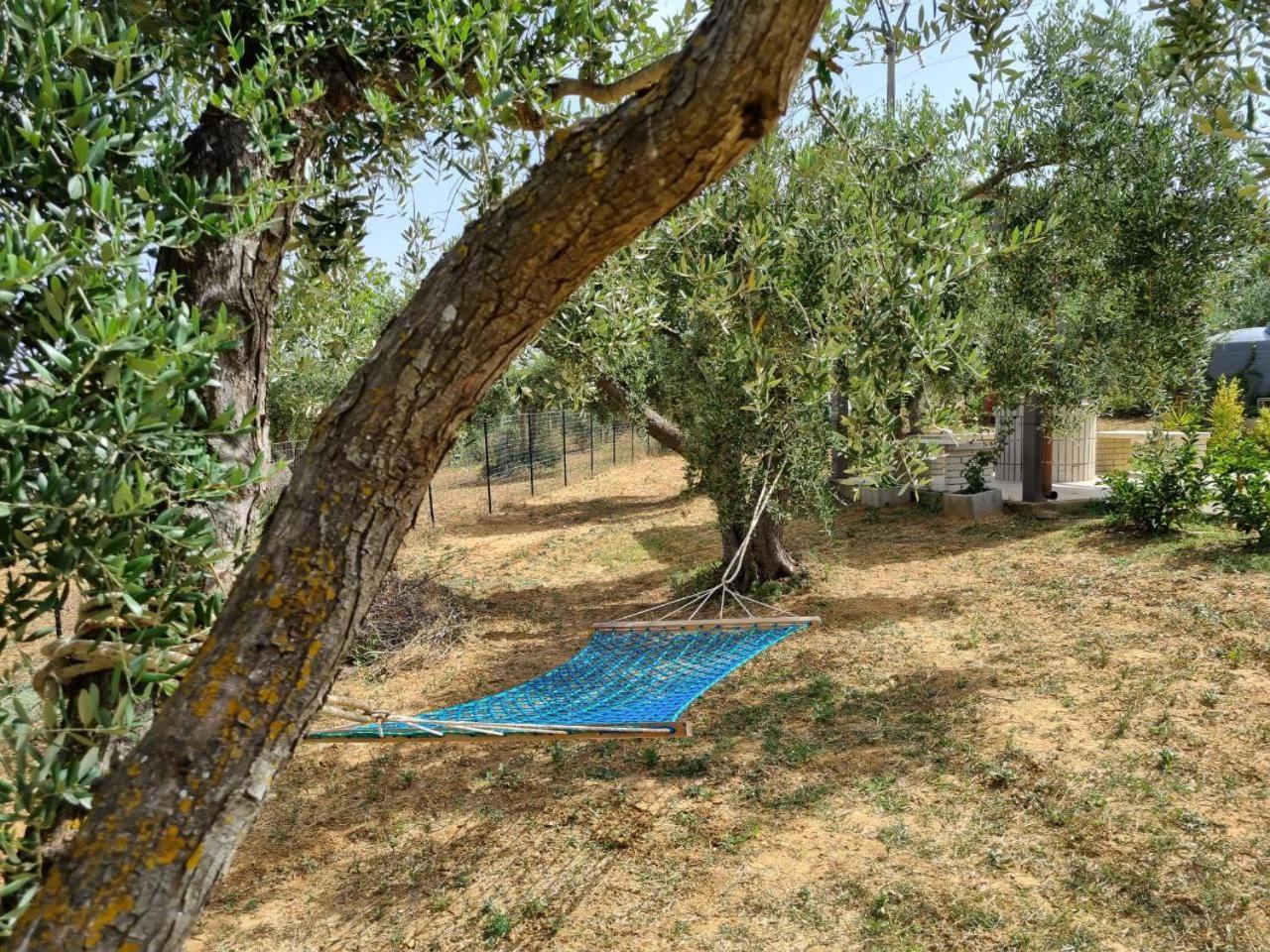 Accogliente Villa Con Piscina Caltagirone Exteriér fotografie